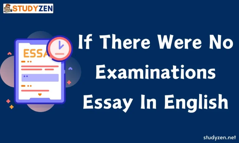 If There Were No Examinations essay in english