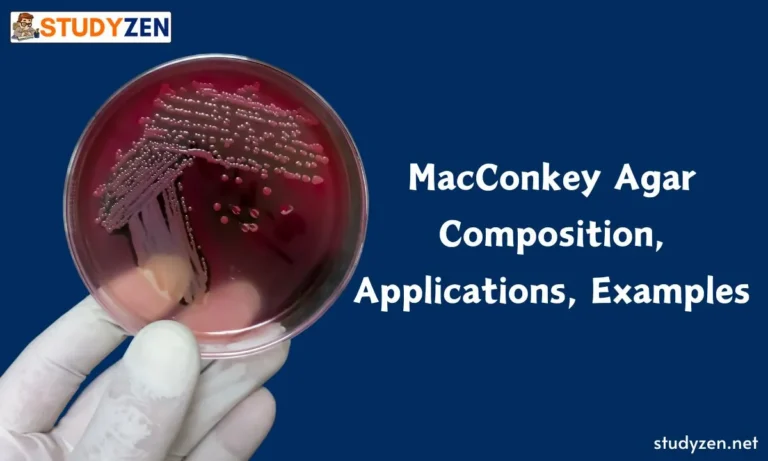MacConkey Agar Composition, Applications, Examples